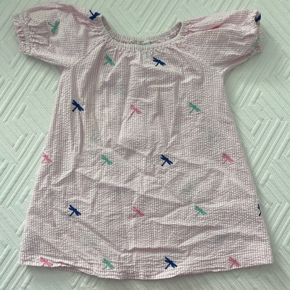 Beanies 3T sear sucker dragonfly dress
